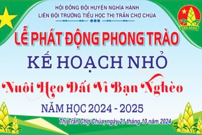 Phong trào Kế hoạch nhỏ – Năm học 2024-2025